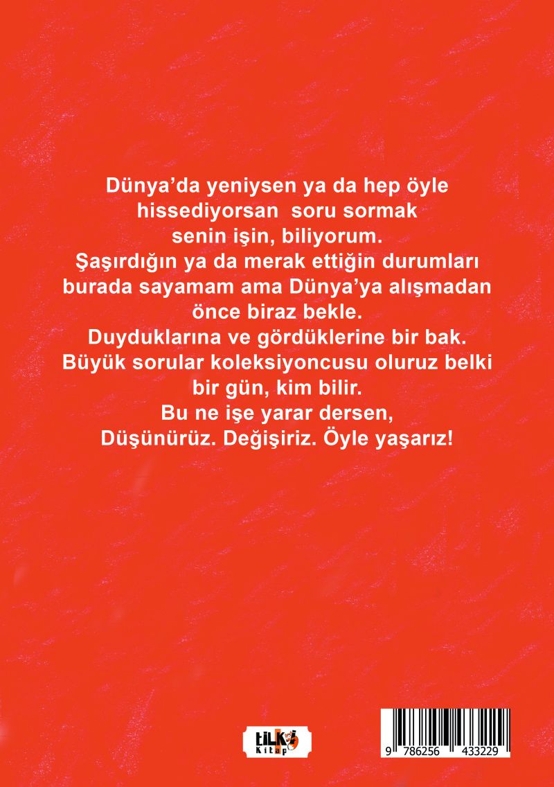 Bir şey sorabilir miyim?