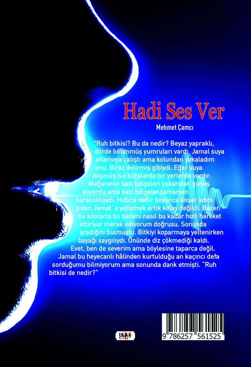 Hadi Ses Ver